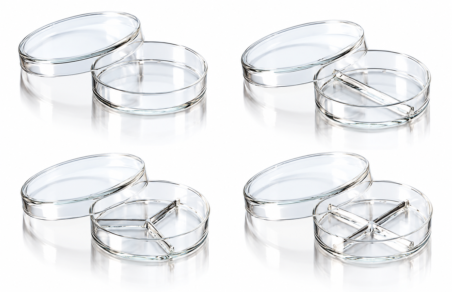 Petri Dishes (60 and 90 mm) and Racks